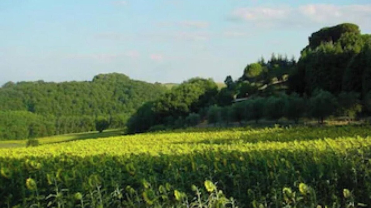 Ramazzano House | Podere Caldaruccio La Pineta -18 people Cottage & Villa