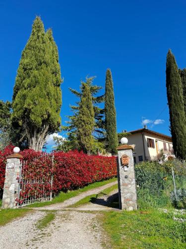 Santarello House | Podere Campanella