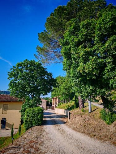 Castel del Rio Apartment | PODERE PIANA
