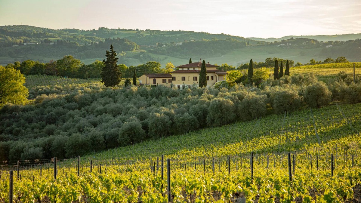 San Gimignano Villa | Podere San Michele Holiday Home