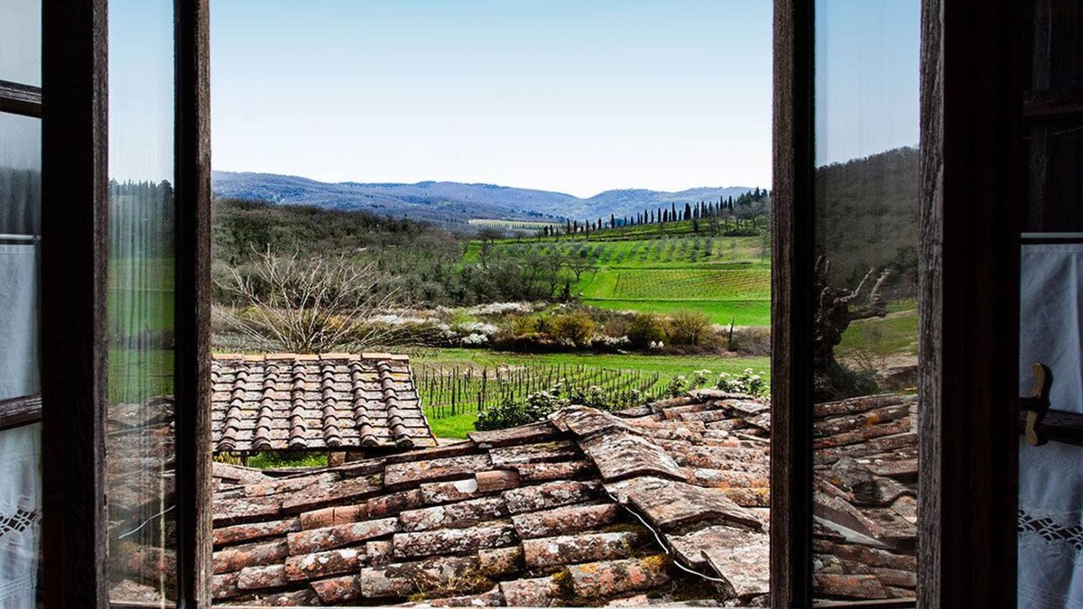 Radda in Chianti Other | Podere Terreno alla Via della Volpaia