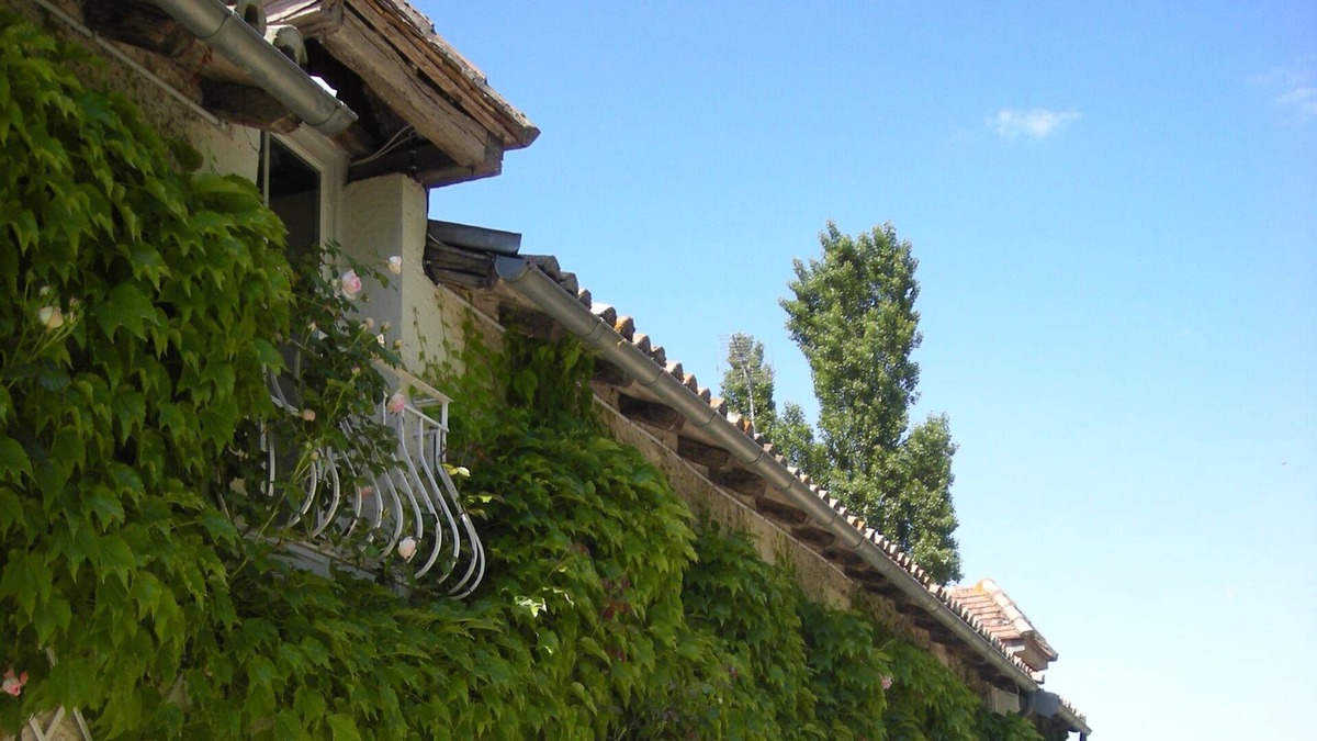 Moussais-la-Bataille House | Poitou, Country house in a calm and relaxing environment.
