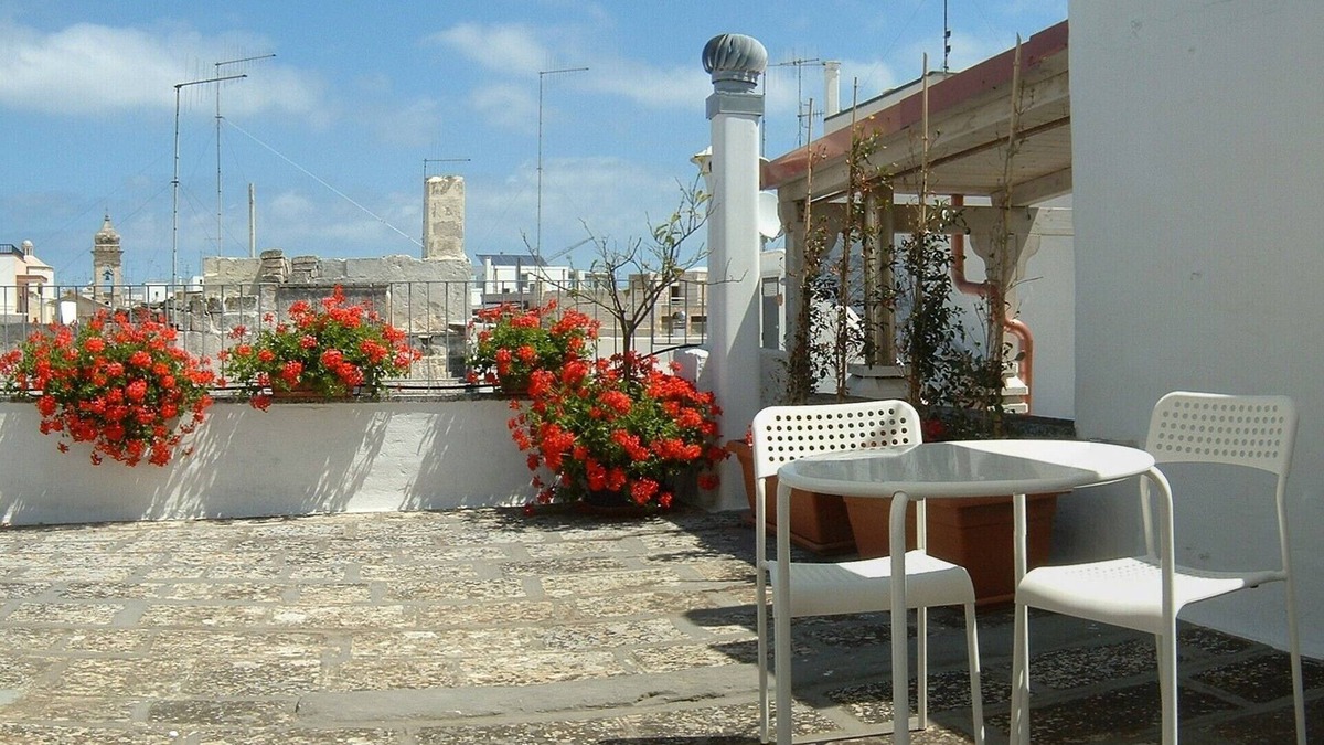 Polignano a Mare House | Polignano a Mare, Red Flowers house with terrace