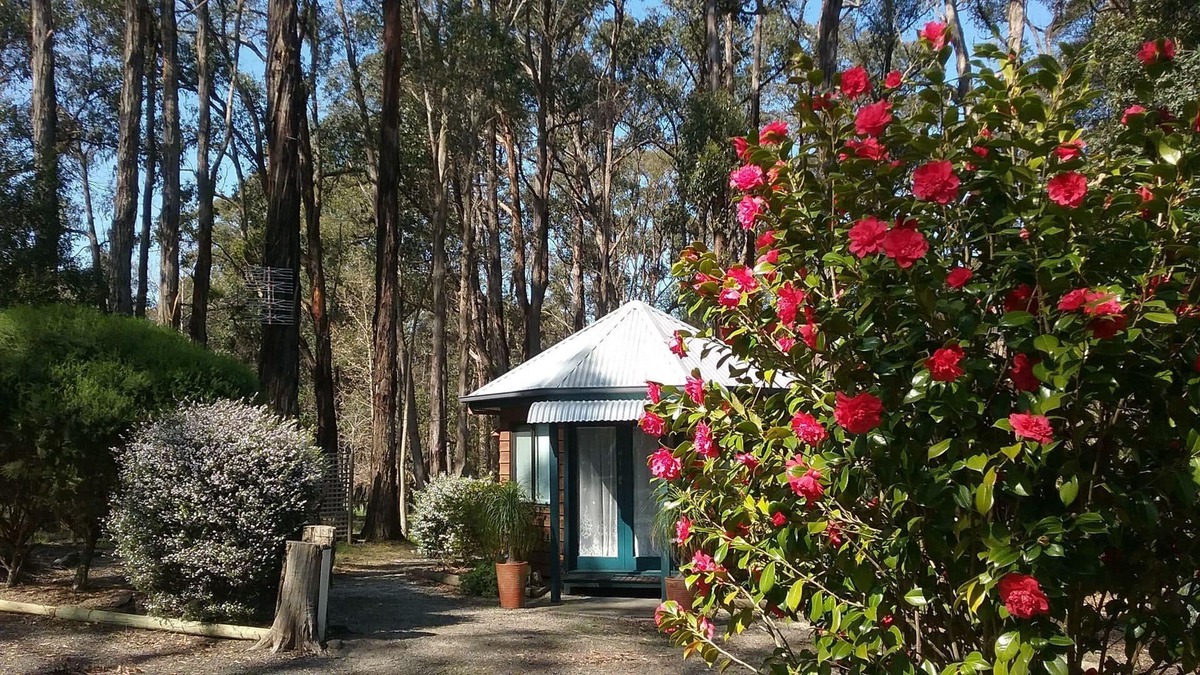 Boolarra Bed & Breakfast | PONDEROSA BED & BREAKFAST