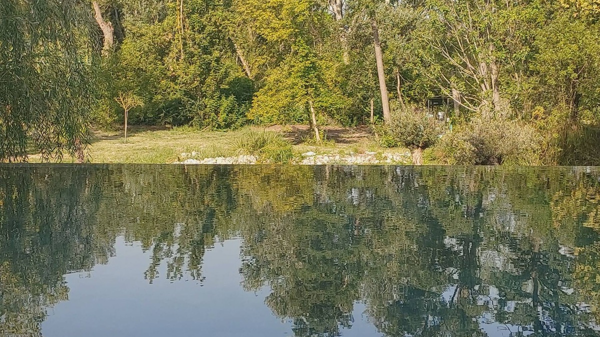 Monteux House | Pool House Avec Piscine et SPA Privés,à 20 km D'avignon, 5 min du Parc Spirou