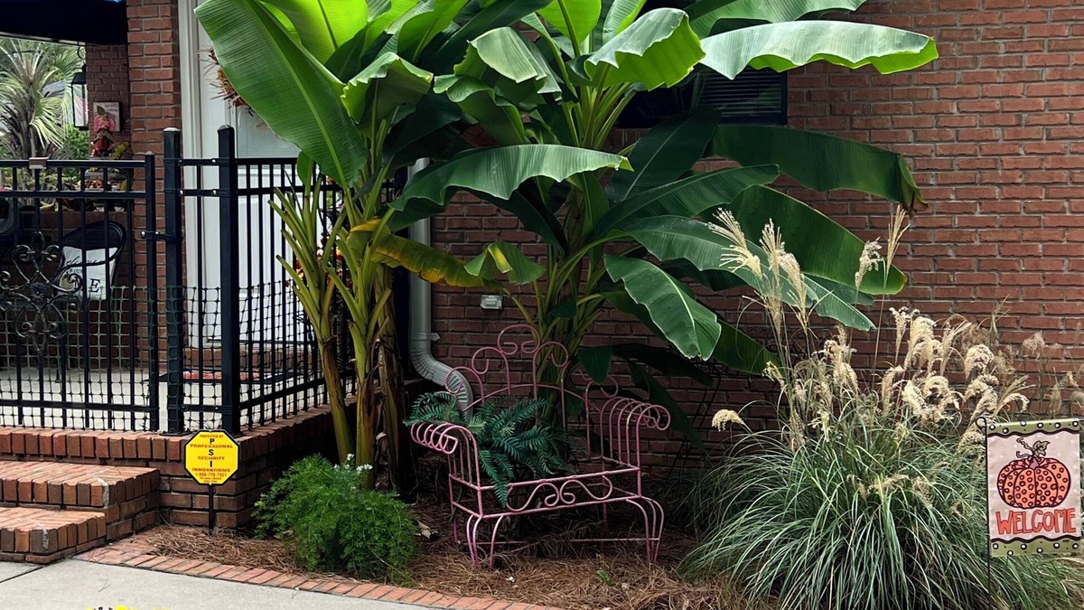 Waynesboro House | Pool-Side Paradise (Pool is for ambience only-NO SWIMMING FOR GUESTS)