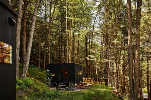 Suches Other | Postcard Cabins Chattahoochee, Outdoor Collection by Marriott Bonvoy