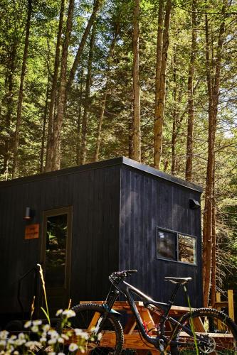 Larue Other | Postcard Cabins Piney Woods, Outdoor Collection by Marriott Bonvoy