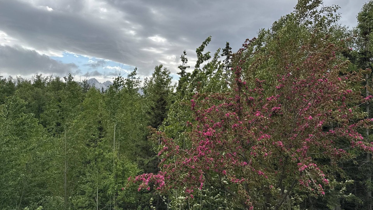 Gateway House | Potential wedding venue. 4-bedroom house. dog friendly. Extra travel trailers.