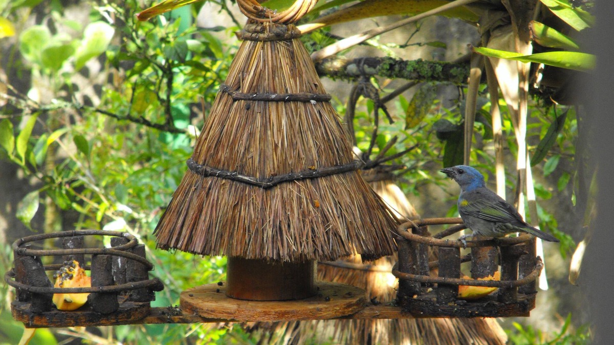 Teresopolis Hotel | Pousada Cascata dos Amores