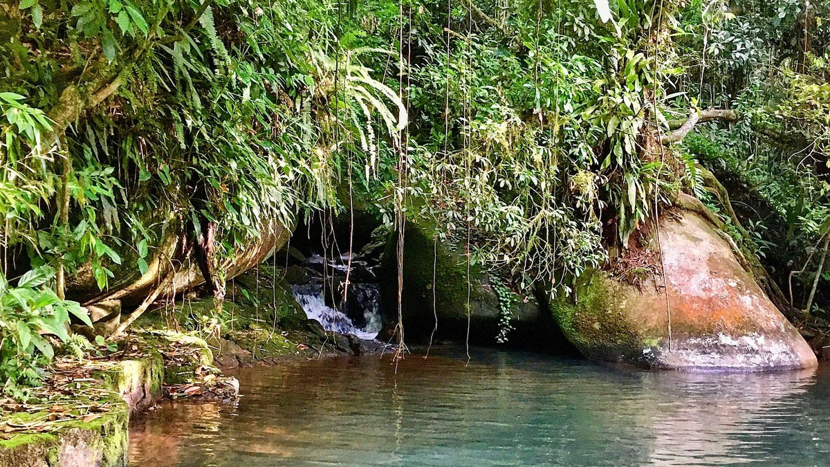 Paraty Cottage | Pouso da Mata country house