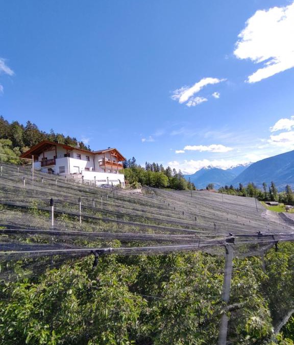 Schenna Apartment | Prünsterhof Schenna