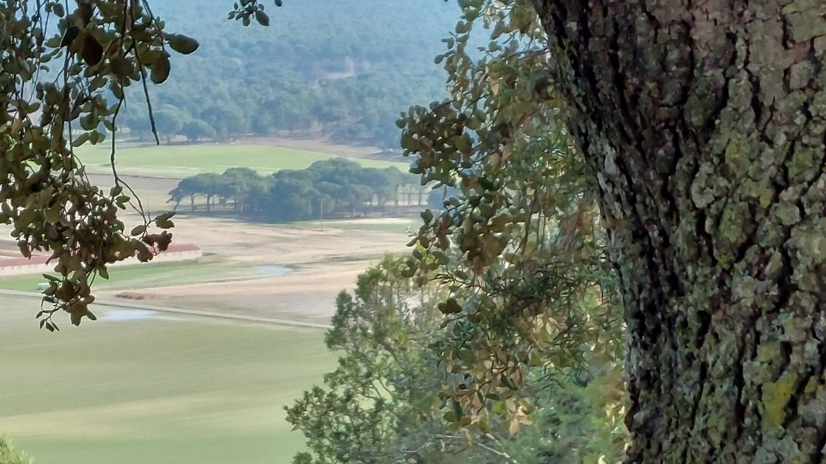 Mata de Cuellar Cottage | Preciosa, Tranquila y Amplia Casa en Tierra de Pinares con Piscina Privada
