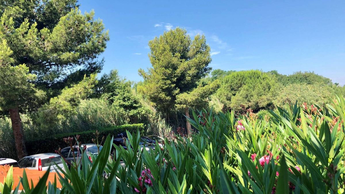 Perpignan Hotel | Premiere Classe Perpignan Sud