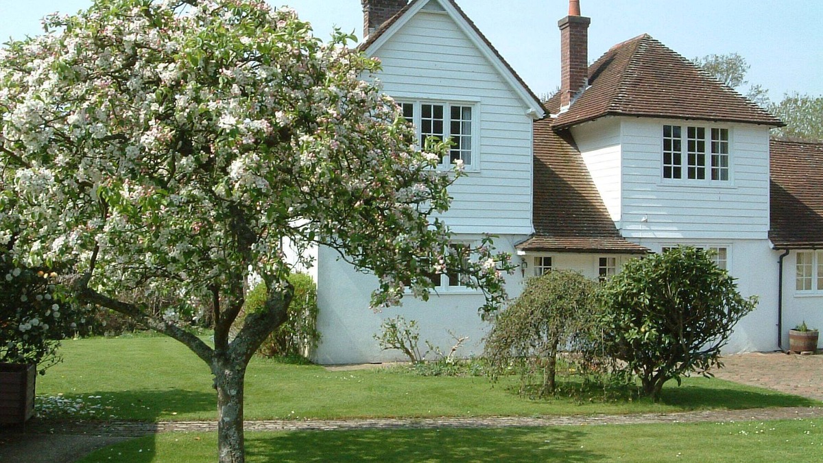 New Forest District Cottage | Pretty cottage with direct access to The New Forest