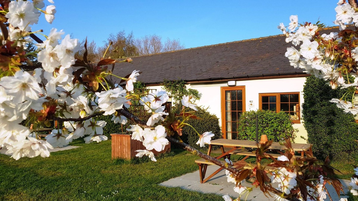 Westmarsh Cottage | Pretty holiday cottage at Hawthorn Farm with lovely views of the donkey paddocks