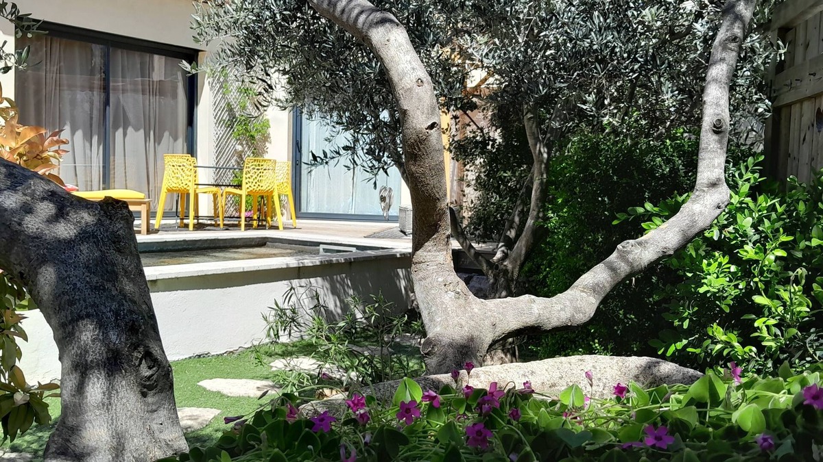 Methamis House | Pretty little house with swimming pool between Mont Ventoux and Luberon