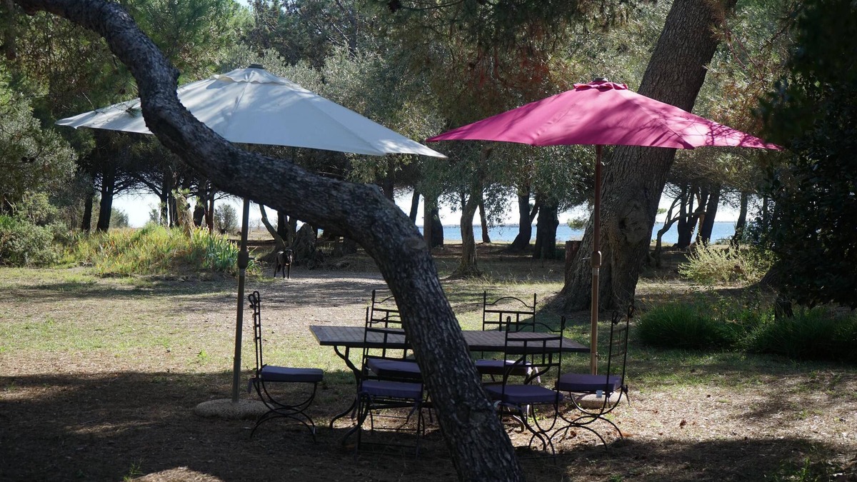 Marseillan House | Pretty rustic farmhouse on the edge of the pond of Thau