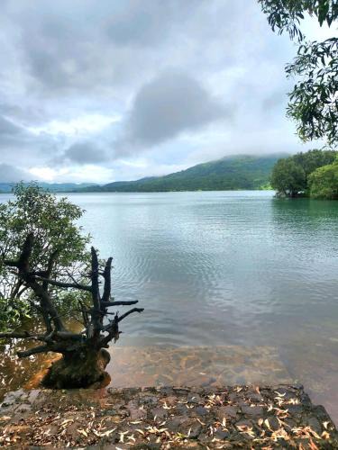 Kurunji House | Prithwe Earthing Center