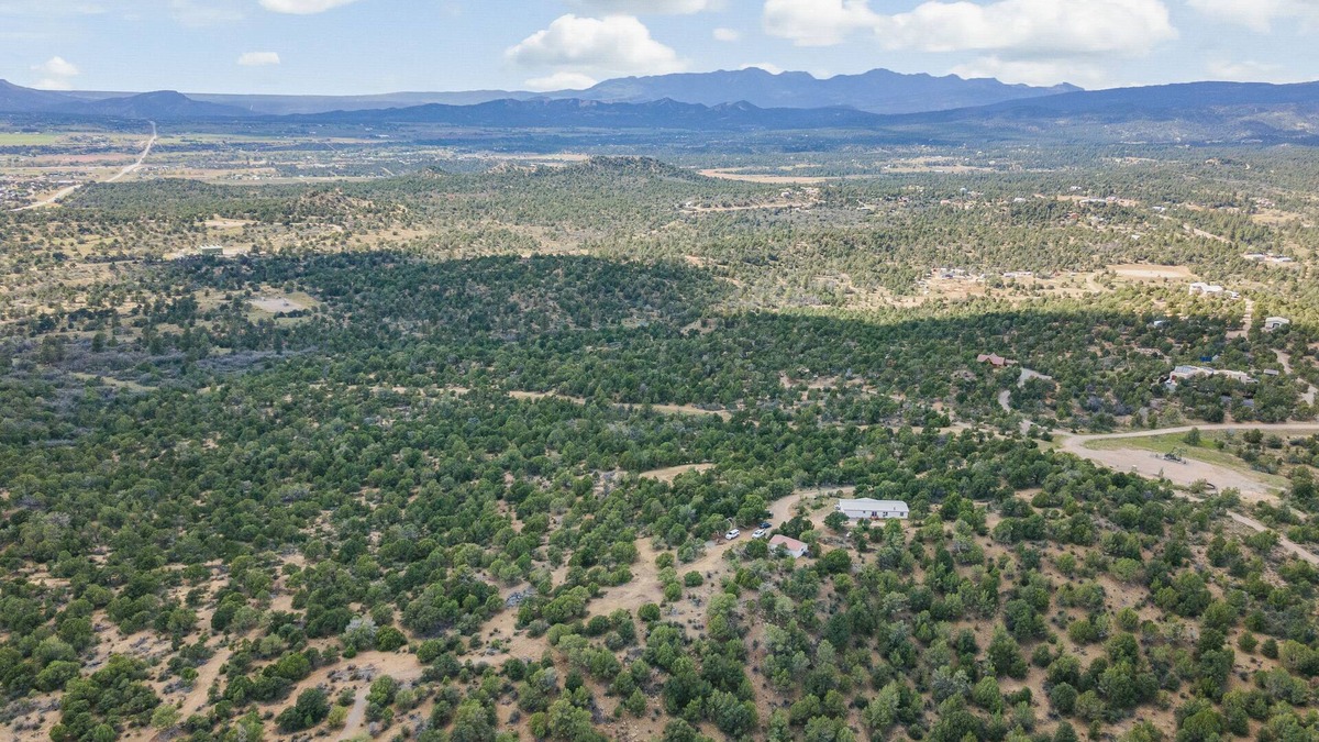 Durango - Purgatory House | Private and Cozy Adventurer's Haven (Dog Friendly!)