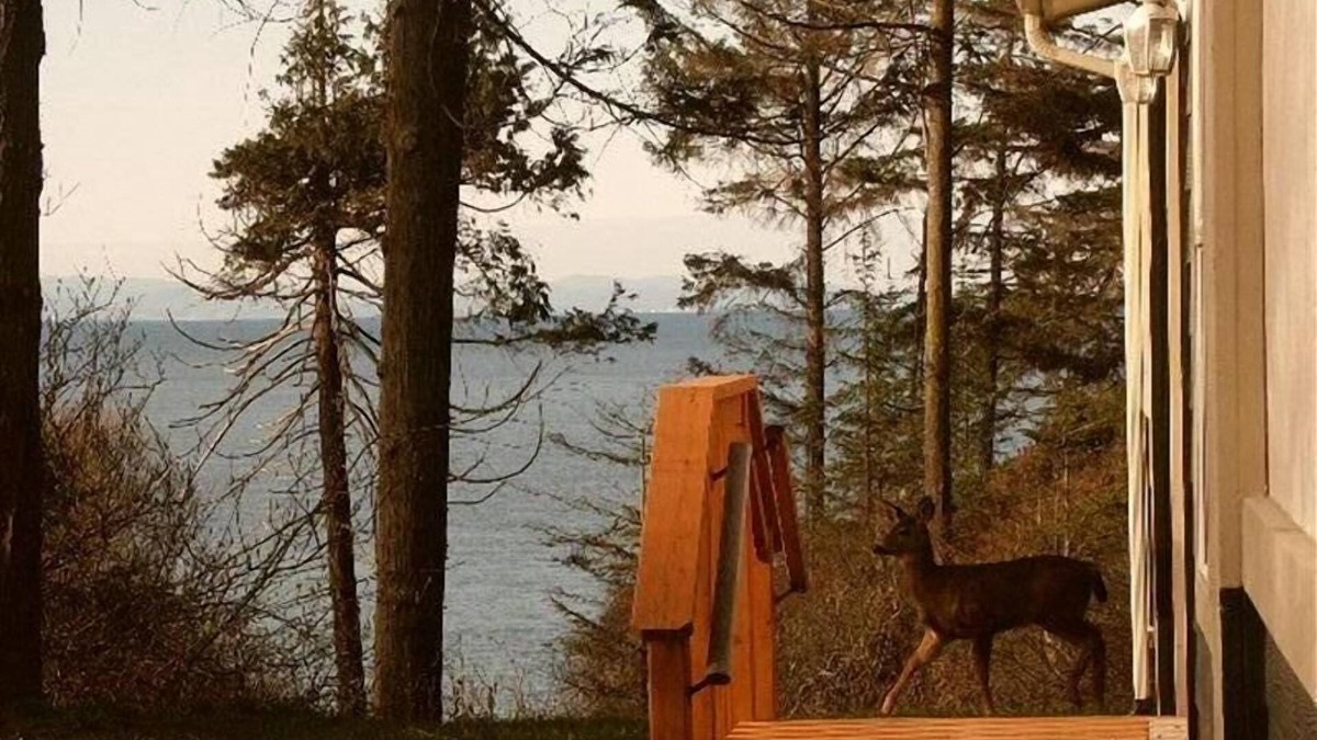 Port Angeles House | Private Beach Access with beautiful water view between Sequim and Port Angeles