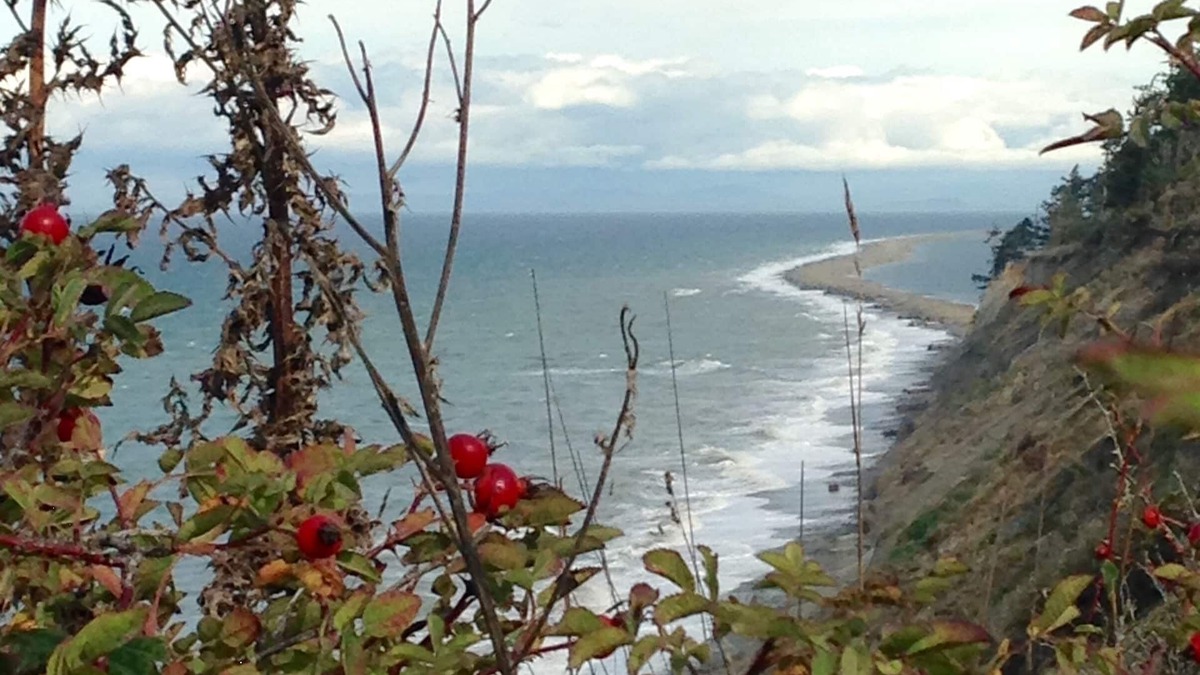Port Angeles House | Private Beach Access, Clean, Comfortable Home between Sequim & Port Angeles