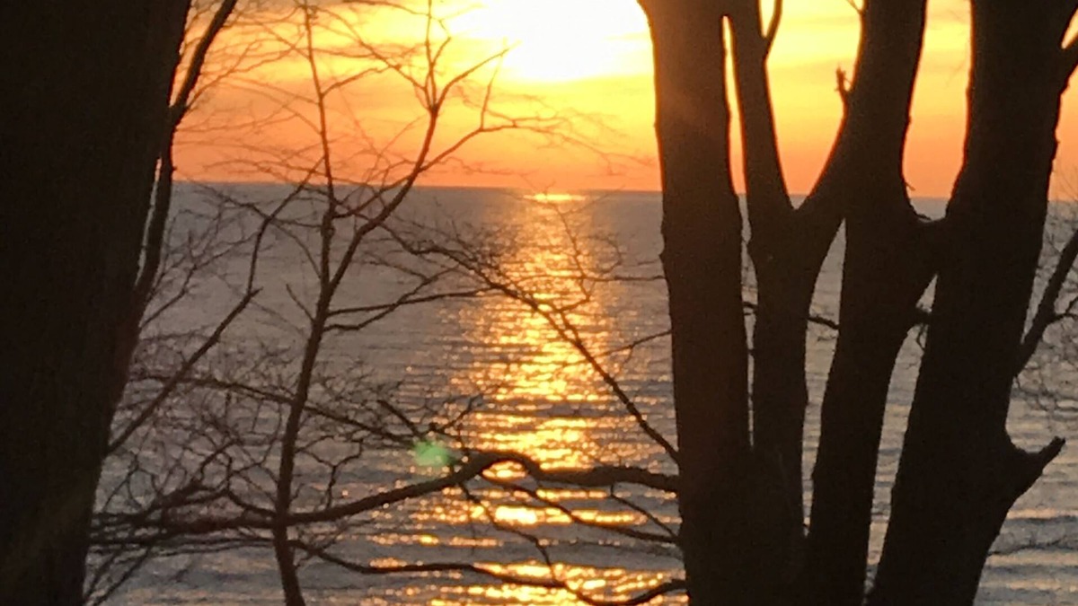 Norton Shores Cabin | Private Beach, Beauty, Seclusion