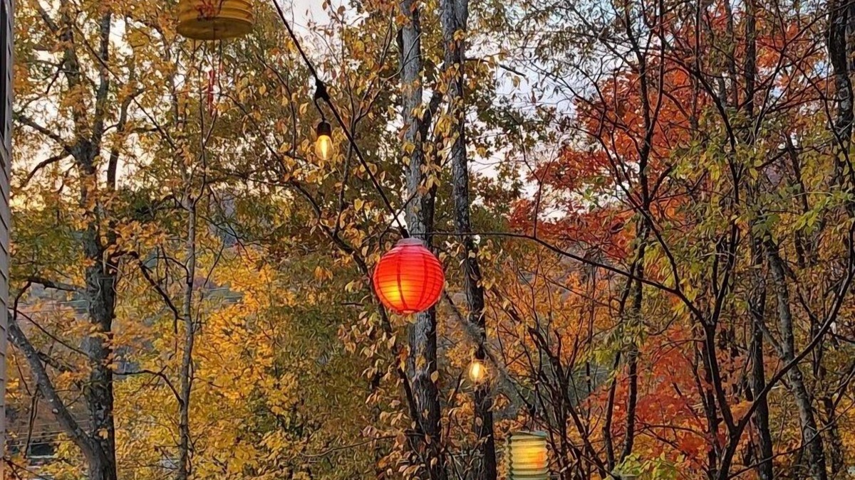 Northside House | Private & Cozy Bungalow, walkable to all things cool in Chattanooga