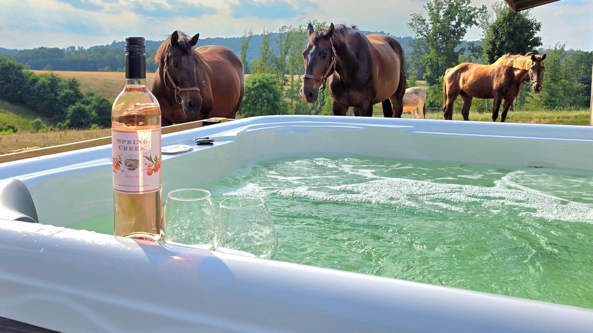 Gladehill Cottage | Private Farm Cottage surrounded fields, farm animals, mountain views & hot tub!