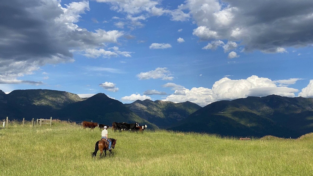 Bigfork House | Private Farm House with Spectacular Views