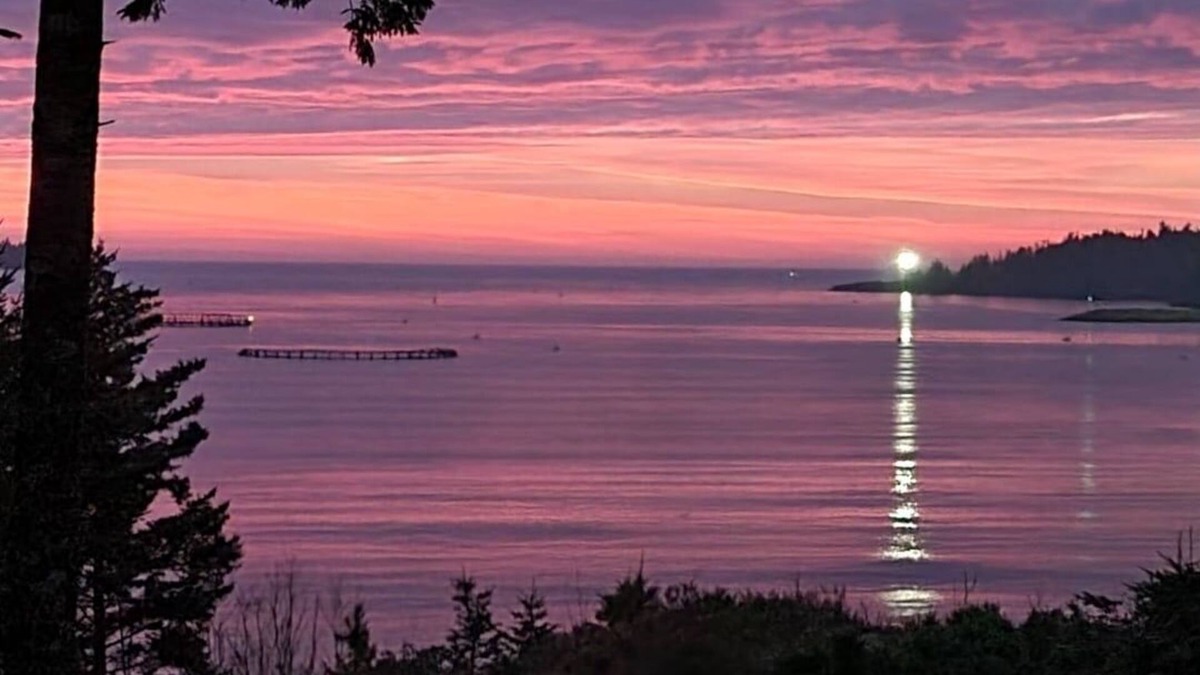 Beaver Harbour House | Private Hot Tub Oceanfront Tiny Home