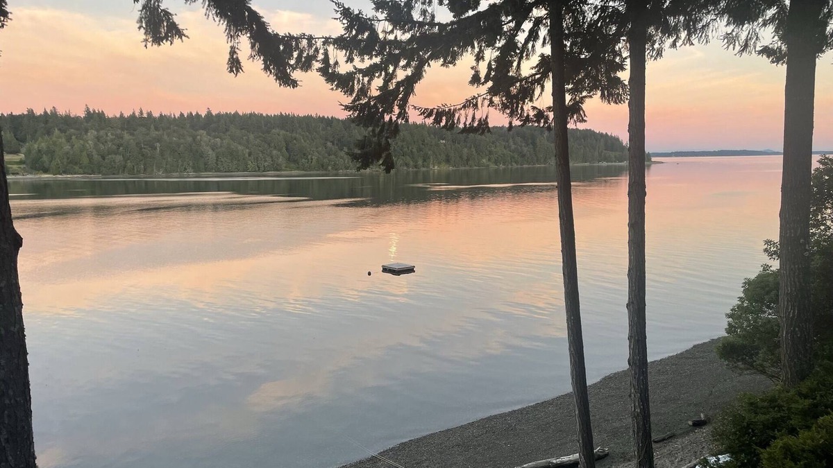 Burley House | Private Island Escape on Puget Sound - Newly Remodeled! 60 minutes from Seattle!