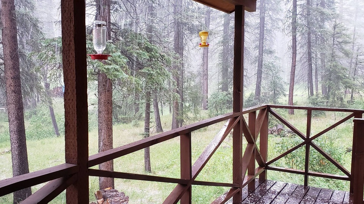Jemez Springs House | Private Jemez cabin near Fenton Lake