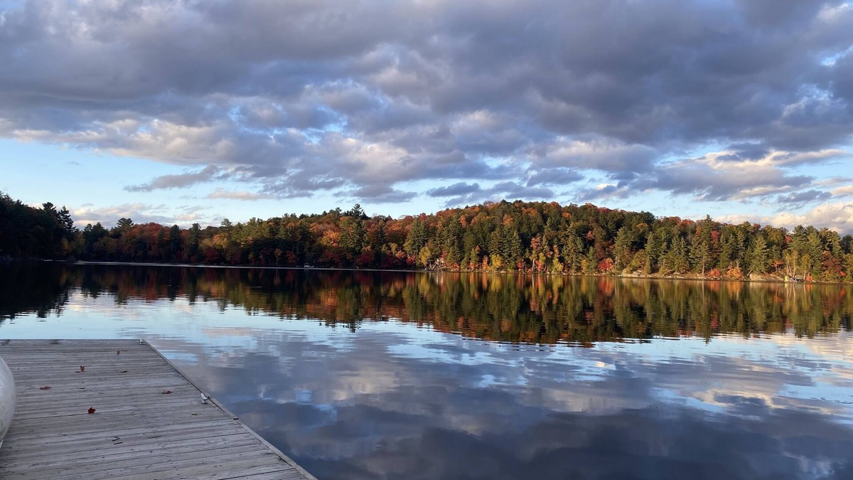Algonquin Highlands Cabin | Private Lakefront Retreat, Nature Lover’s Paradise