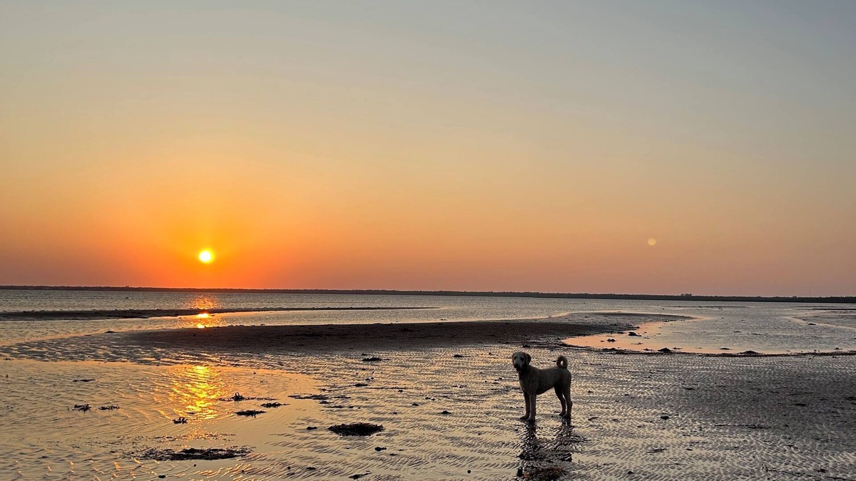 Miscouche Cottage | Private little waterfront cottage on PEI’s South Shore