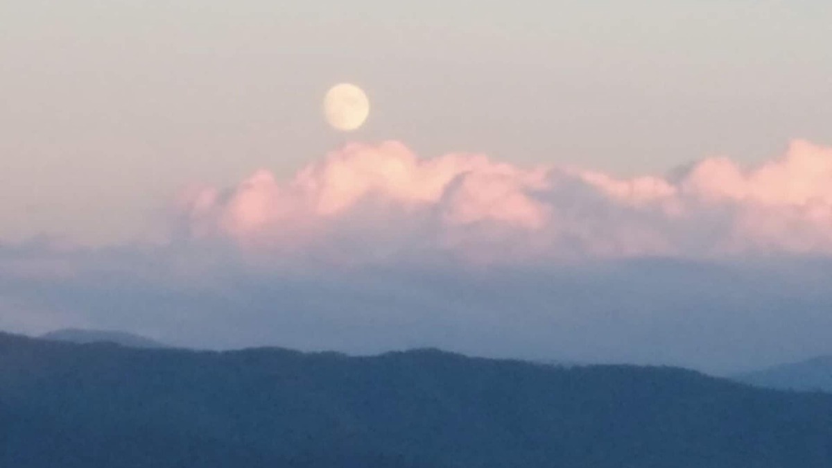 Newport Cabin | Private Mountain Cabin with Views from TN to NC! HOT TUB, SECLUDED, AND WIFI!