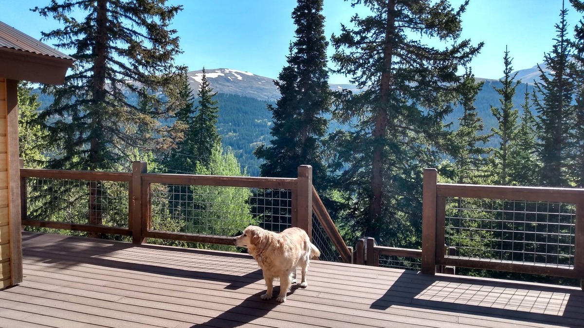 Alma Cabin | Private Mountainside Perch with Hot Tub/Pet Friendly/Retro Chic - Alpine Haus
