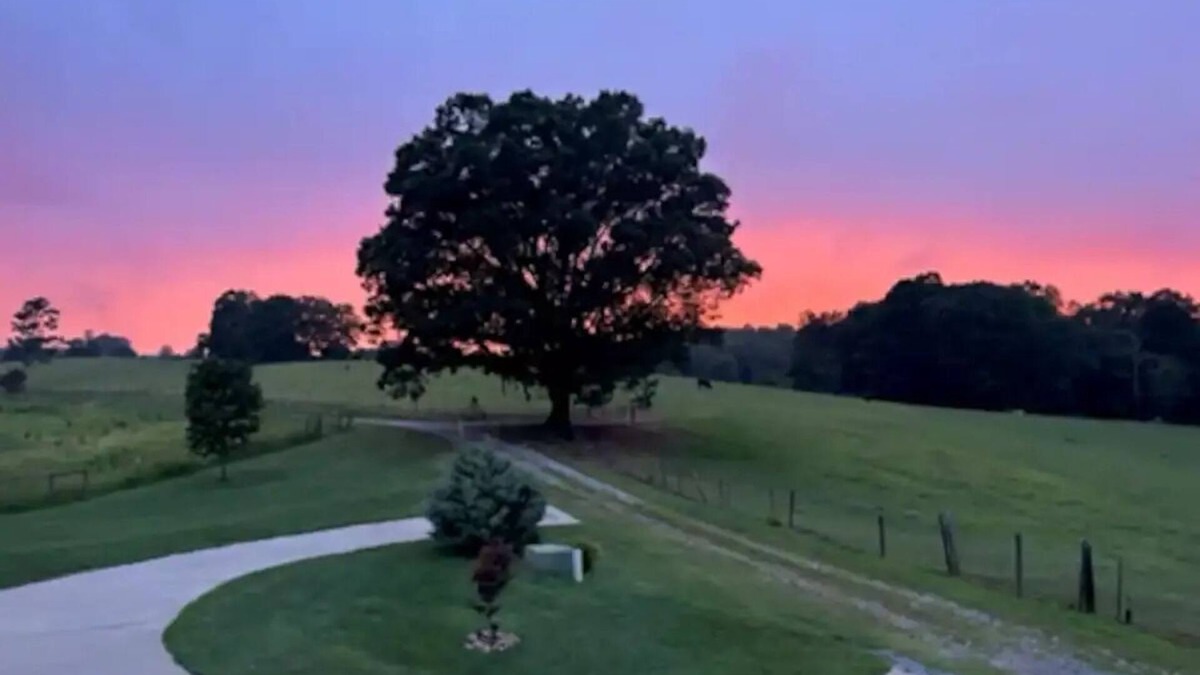 Dahlonega Cottage | Private Oasis conveniently located near Dahlonega, Helen, and Gainesville