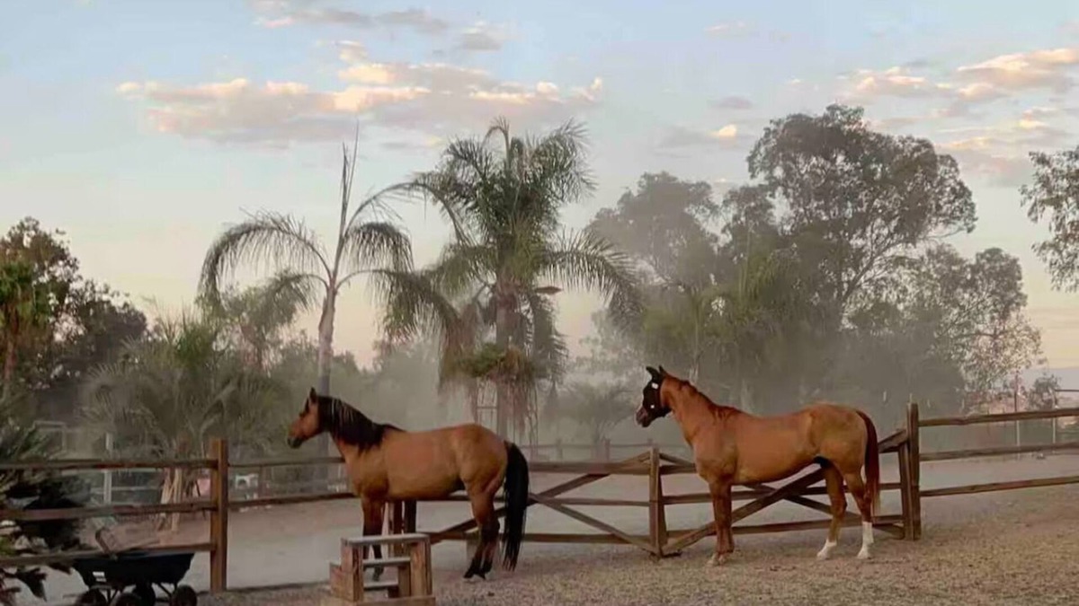 Bonsall House | Private Petting Zoo - Glamping Ranch Vibes