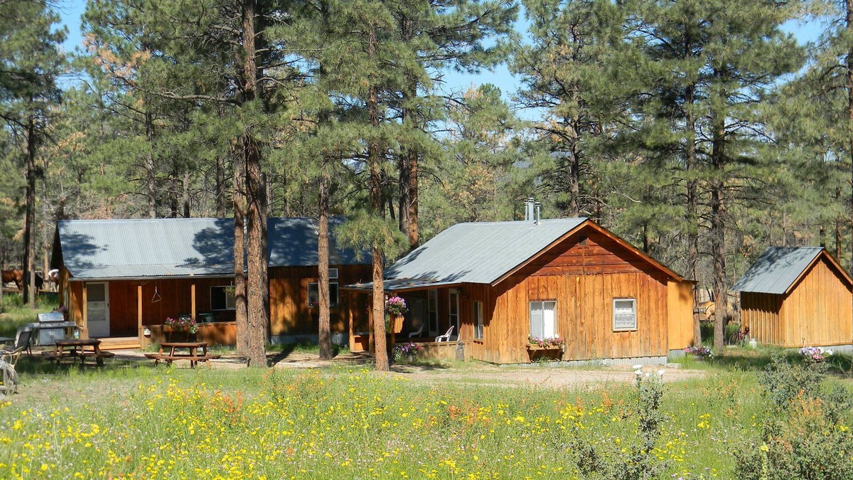 Winston Cabin | Private Ranch Experience in the Gila National Forest, New Mexico!