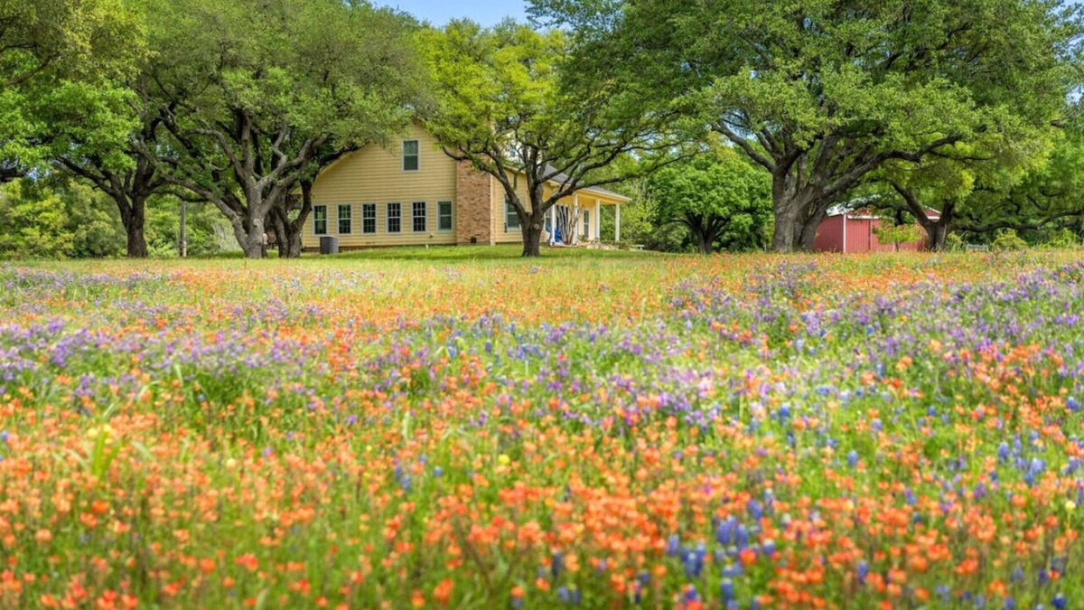 Wellborn House | Private Retreat on 50 Acres of Countryside Bliss!