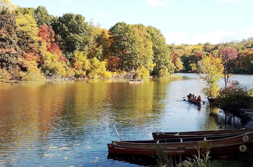 Bedford Park House | Private Rooms near Riverdale.