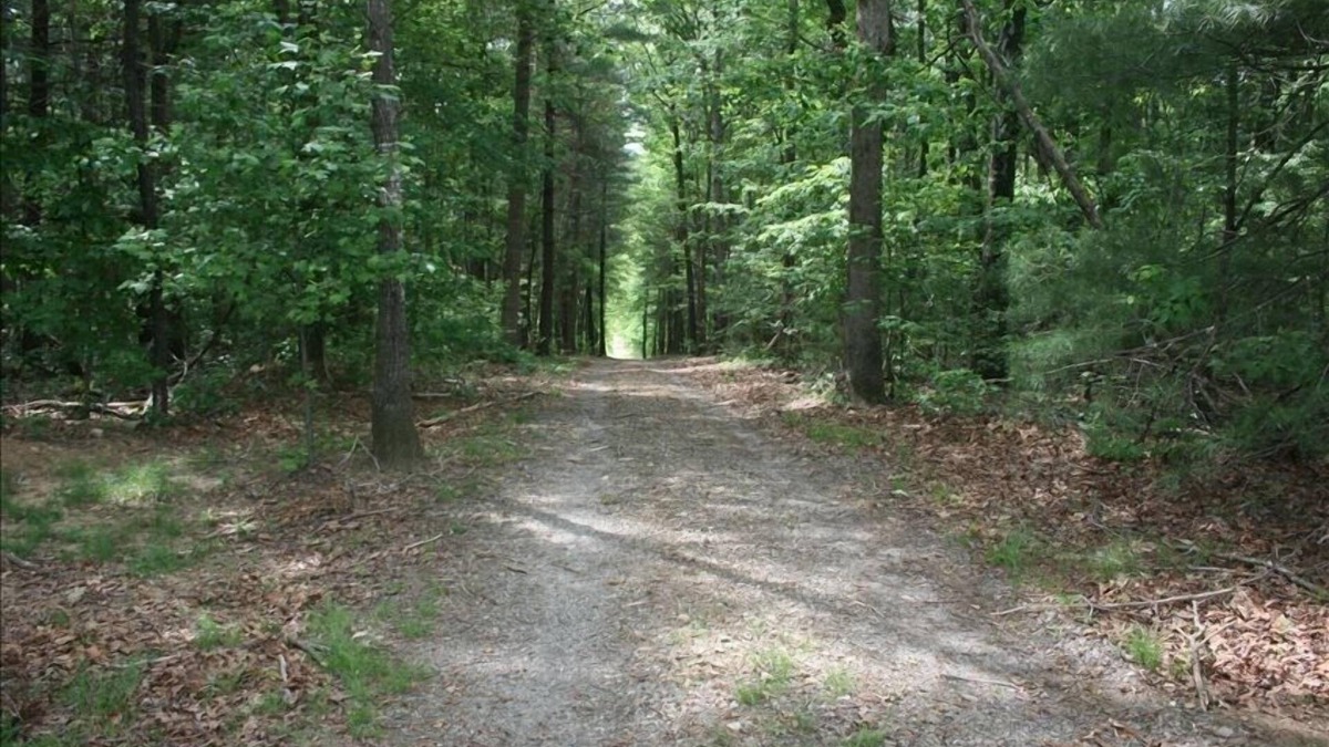 Blairsville Cabin | Private, Secluded, Relaxing Cabin. 033600nAsk about out WEDDING OPPORTUNITIES