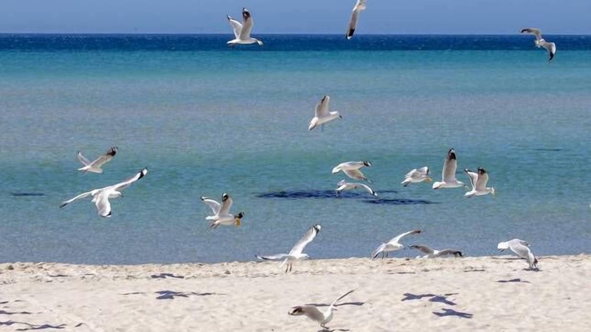 Safety Beach House | Private vacation home in Safety Beach