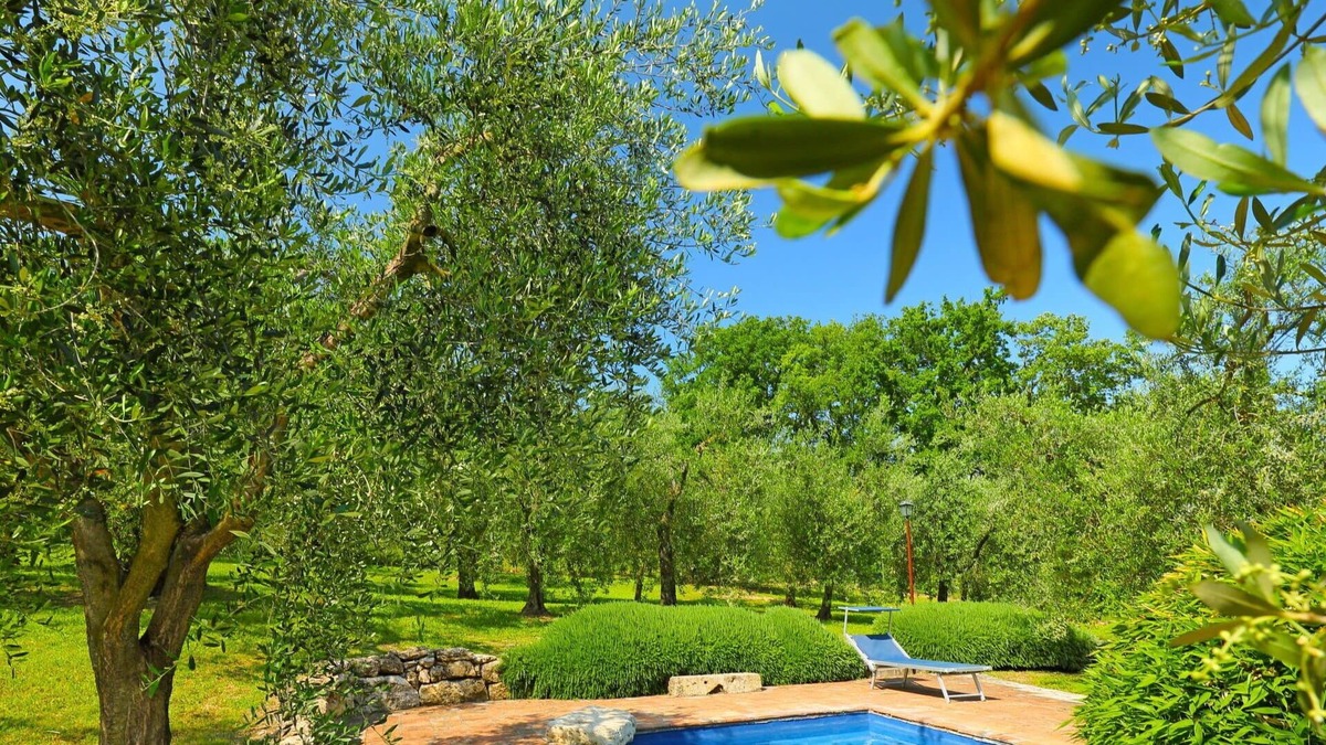 Penna in Teverina House | Private Villa with A/C, WIFI, private pool, TV, patio, pets allowed, panoramic view, parking
