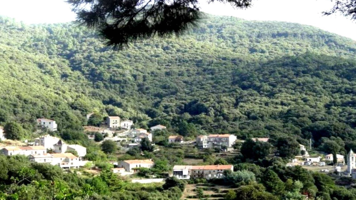San-Gavino-di-Carbini House | PROMO Rent village house in gualdariccio a proch zonza propriano