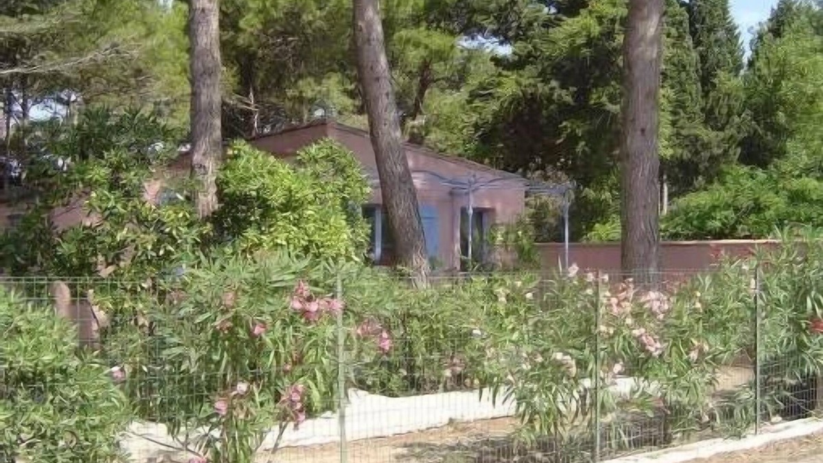 La Franqui House | PROMO! The franqui cottage under the pines in charming village