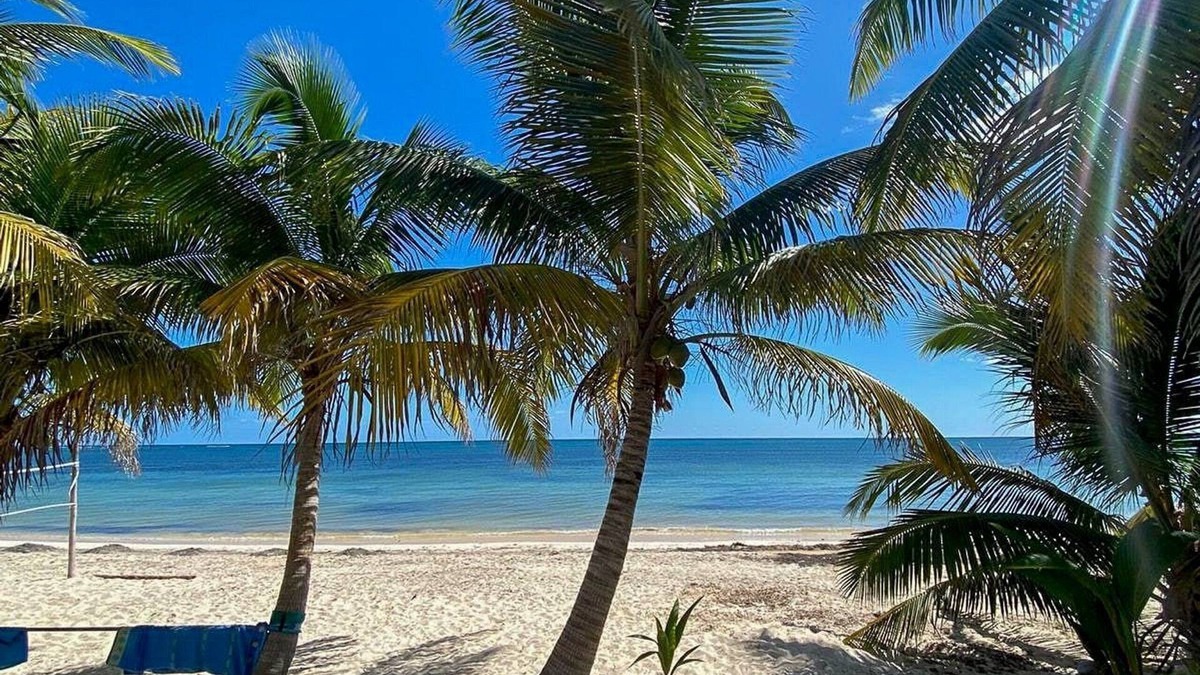 El Placer Bed & Breakfast | Pronoia Casa de Playa