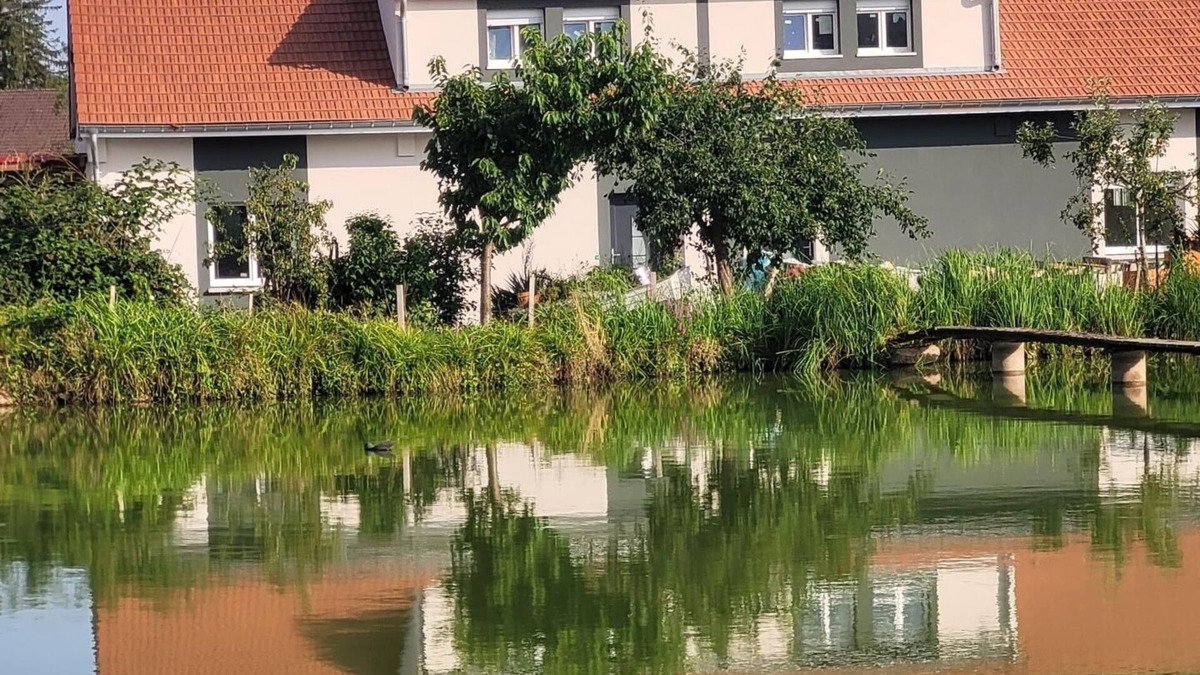 Petitefontaine House | Property Offers A Peaceful And Relaxing Setting