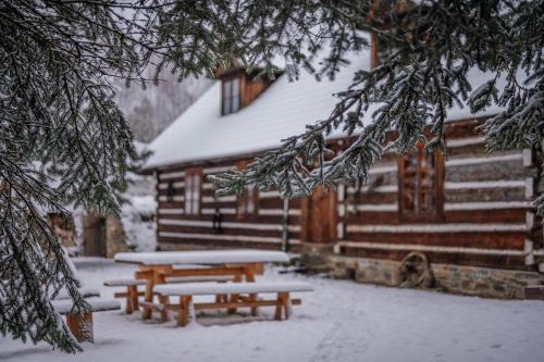 Ustrzyki Dolne House | Przystanek Ropienka Chata Łemkowska